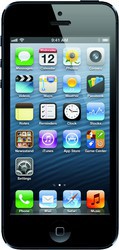 Apple iPhone 5 16GB - Ленинск-Кузнецкий