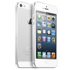 Apple iPhone 5 64Gb white - Ленинск-Кузнецкий
